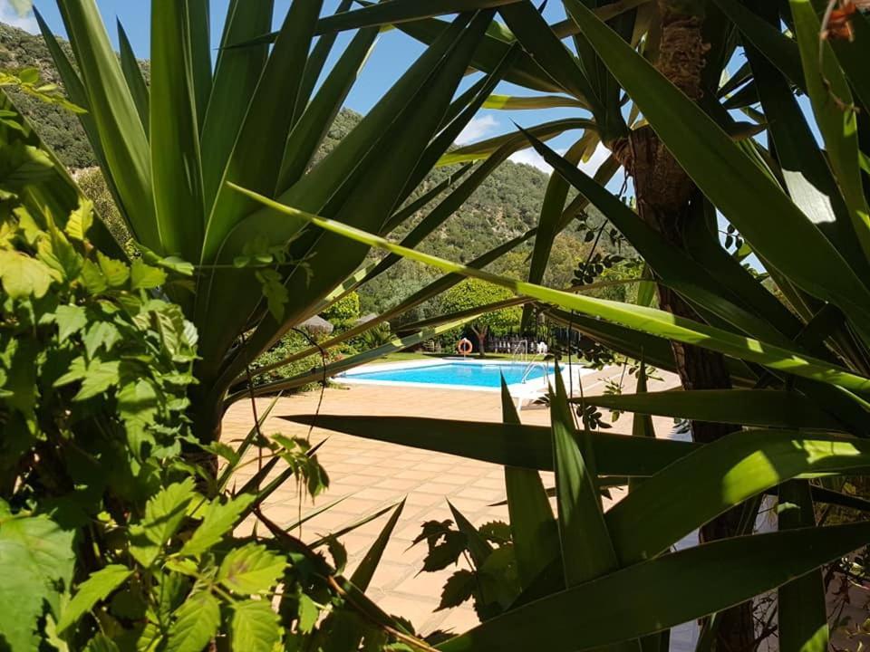 Hotel El Paso Vejer de la Frontera Zewnętrze zdjęcie