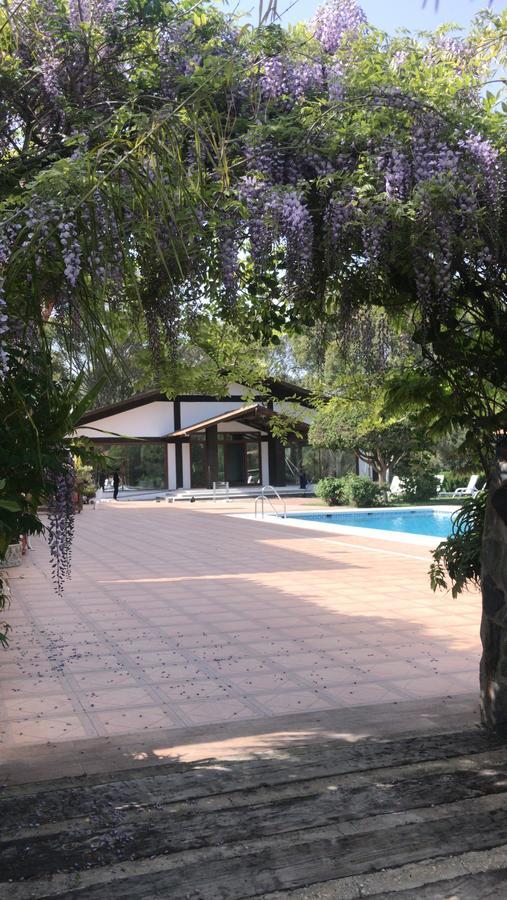 Hotel El Paso Vejer de la Frontera Zewnętrze zdjęcie